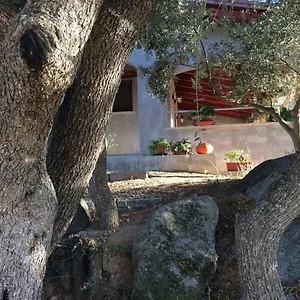 S'umbra De S'ozzastru Ferienhaus